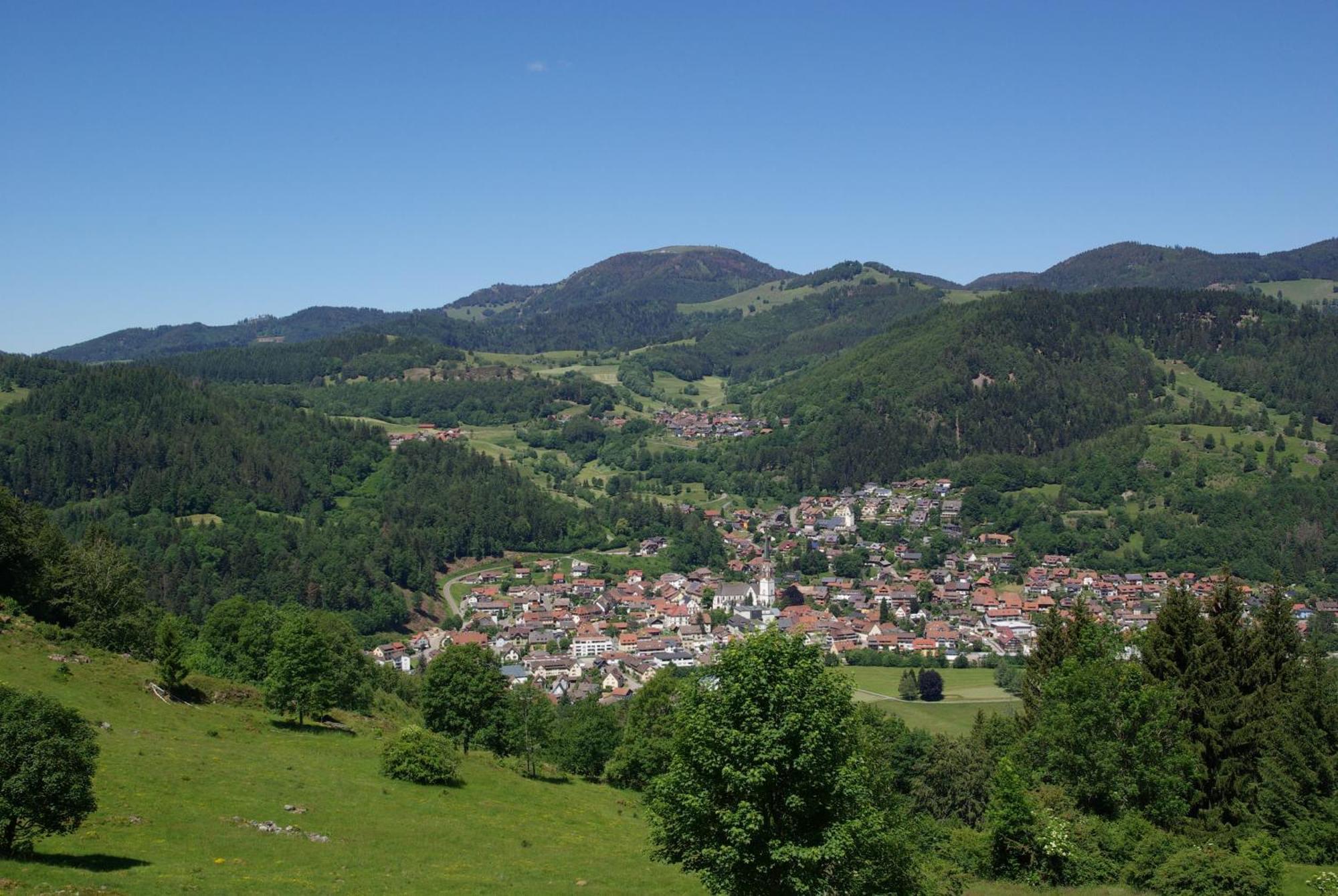 Ferienwohnung Haus Föhrenbach Schonenberg Exterior foto