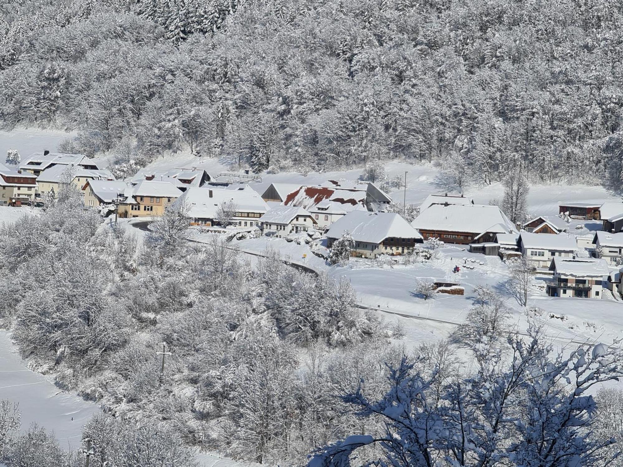 Ferienwohnung Haus Föhrenbach Schonenberg Exterior foto